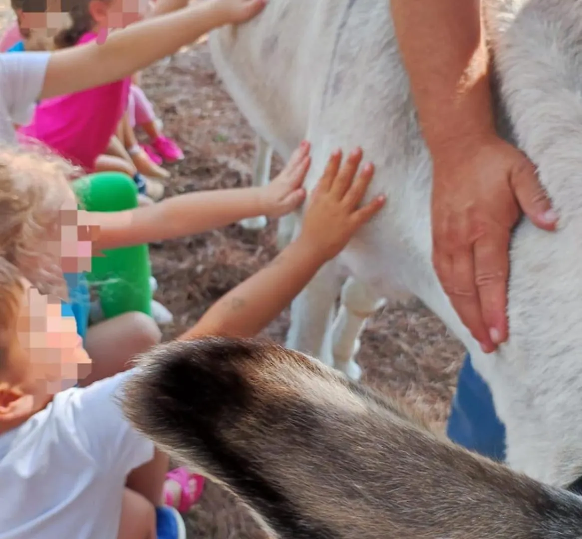 Baldo E Riccia - Agriturismo Con Centro Terapie Assistite Con Animali Perugia