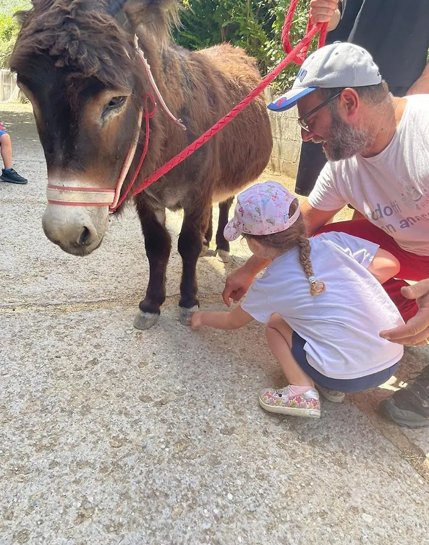 Baldo E Riccia - Agriturismo Con Centro Terapie Assistite Con Animali Perugia