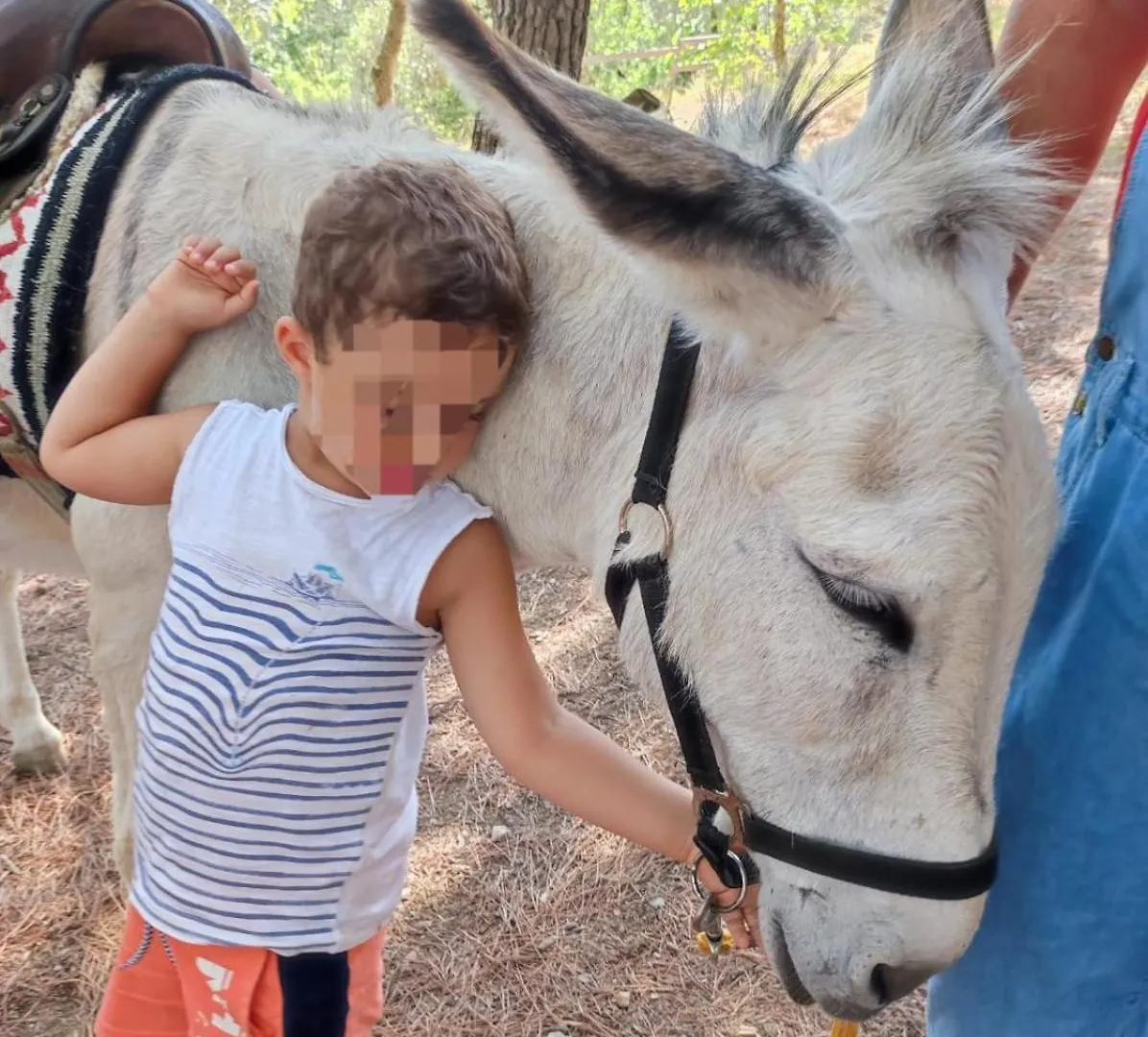 Vakantieboerderij Baldo E Riccia - Agriturismo Con Centro Terapie Assistite Con Animali Perugia Italië