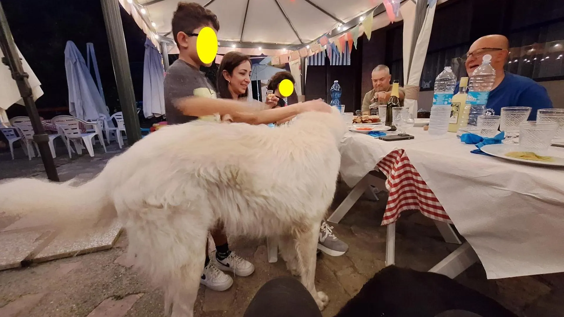 Vakantieboerderij Baldo E Riccia - Agriturismo Con Centro Terapie Assistite Con Animali Perugia